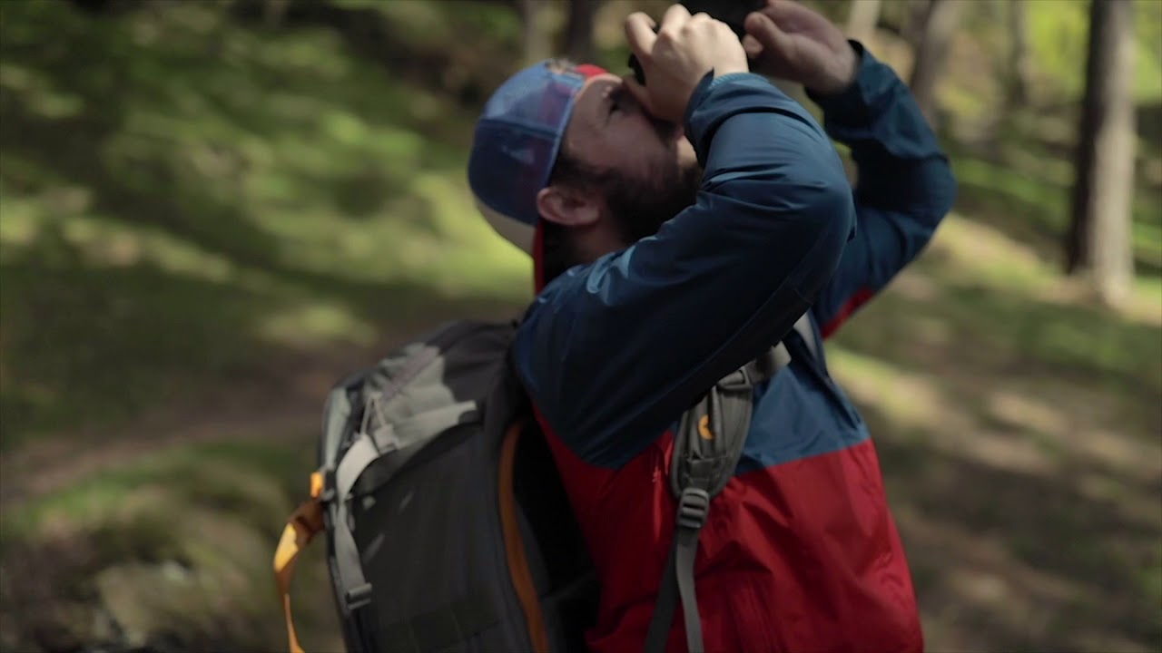 53DN  Bernard Geraghty Landscape Tours