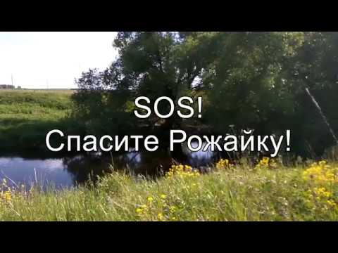 Video: Rozhayka është një lumë në Rusi. Përshkrimi, veçoritë, foto