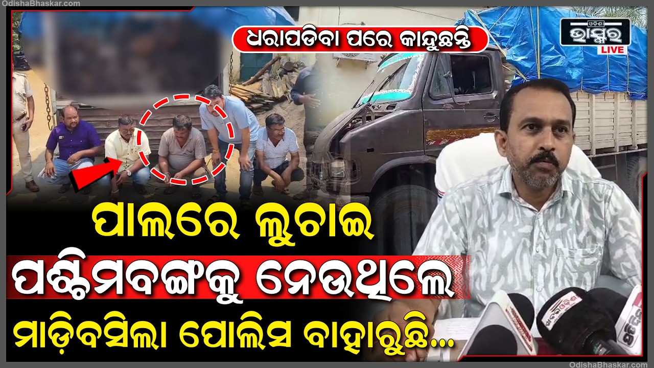ପାଲରେ ଲୁଚାଇ ପଶ୍ଚିମବଙ୍ଗକୁ ନେଉଥିଲେ ମଝି ରାସ୍ତାରେ ମାଡ଼ିବସିଲା ପୋଲିସ...ଧରାପଡିବା ପରେ କାନ୍ଦୁଛନ୍ତି ୫ ଜଣ...