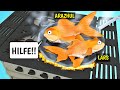 DIE FISCHGANG ist ZURÜCK! Frische Fische in die Pfanne?? - Simple Fish Adventure