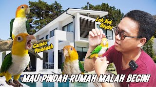 AKHIRNYA BURUNG BADUT PINDAH RUMAH | MAU DIKIRIM TAPI KO MALAH JADI KAYAK GINI ‼