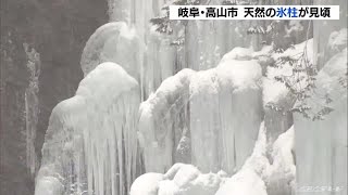 「ことしは数も多くてきれい」と地元住民　滝が凍った「天然の氷柱」が見頃　岐阜県 (22/02/06 11:23)