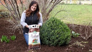 Spring Fertilizing