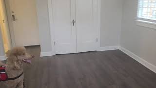 01.301 350 Sq Ft Allusion S2 floorplan