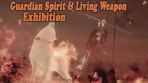 Nioh: All Guardian Spirit (Living Weapon) Exhibition
