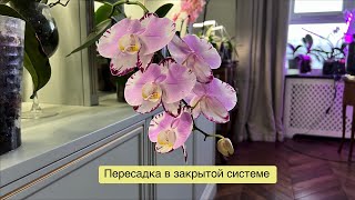 :    ,      ! 