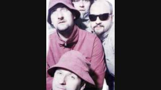 The Shirehorses - Single Bloke