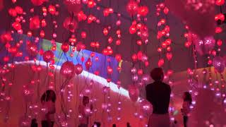 Pipilotti Rist: Pixel Forest and Worry Will Vanish