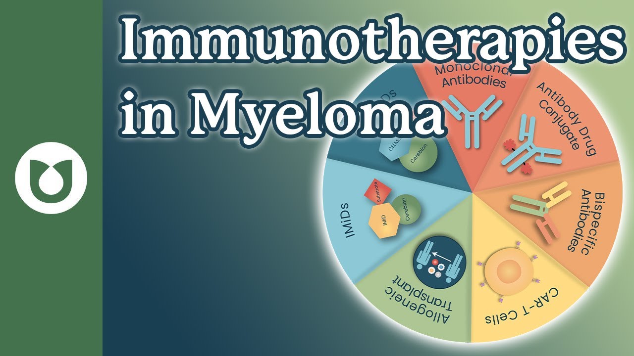 Top Immunotherapy Options for Myeloma: What You Need to Know! | # ...