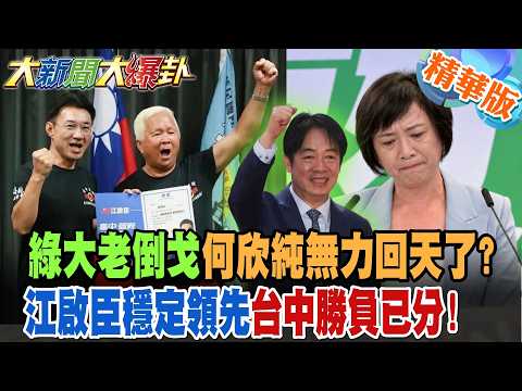 With the Green Party's bigwigs defecting, is Ho Hsin-Chun powerless to turn the tide? Chiang Chi-...