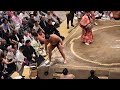 おでこに絆創膏の霧島!2026年大相撲5月場所