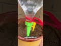 Self Watering Plant Spikes | Adjustable Drip Irrigation 🌱💧✨
