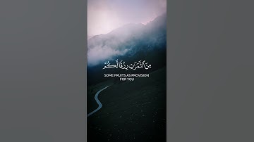 الله الذي خلق السموات والأرض وأنـزل من السماء ماء #القرآن_الكريم #سورة_إبراهيم #سعود_آل_جمعة