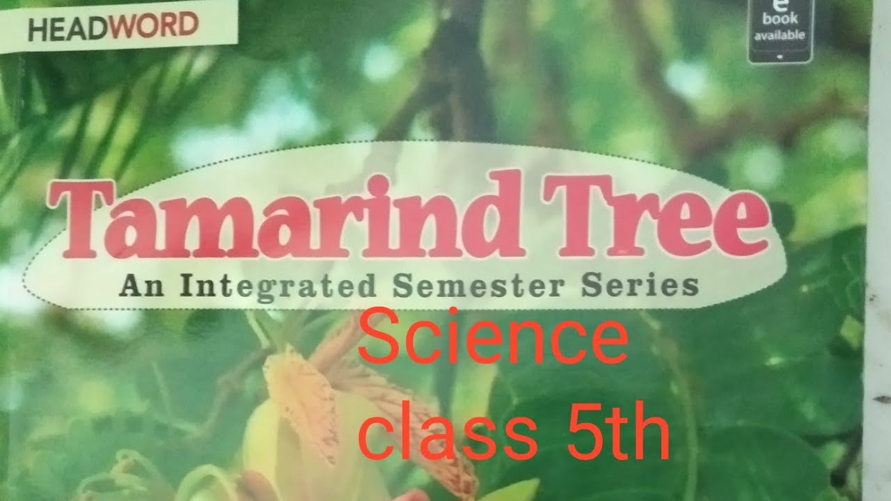 Class 5th science chapter 1 plant around us chapter explanation - YouTube