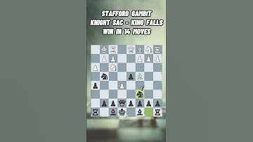 Stafford Gambit: Sacrifice and Checkmate in 14! #chess #chesstrap