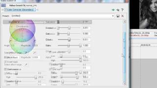Sony Vegas Tutorial || Effect #46 (Color Splash)