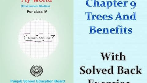 |Class 4th|EVS|PSEB| Chapter 9 [Trees And Benefits]