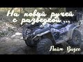 На новый ручей с разведкой! "Лайт Видео''