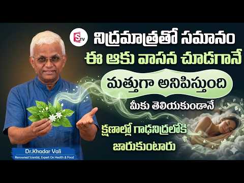 రాత్రి కుంభకర్ణుడి లాంటి మత్తు నిద్ర || Insomnia || deep sleep | Khader Vali | Sumantv Health
