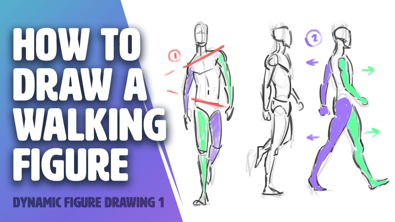 Figure Drawing for Animators 