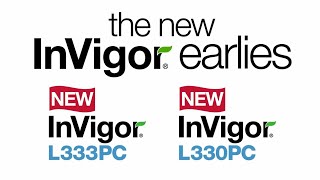 Invigor In A Minute - Invigor Earlies Basf