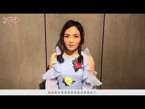 徐佳瑩《是日救星巡回演唱会2017 – 大马站 》