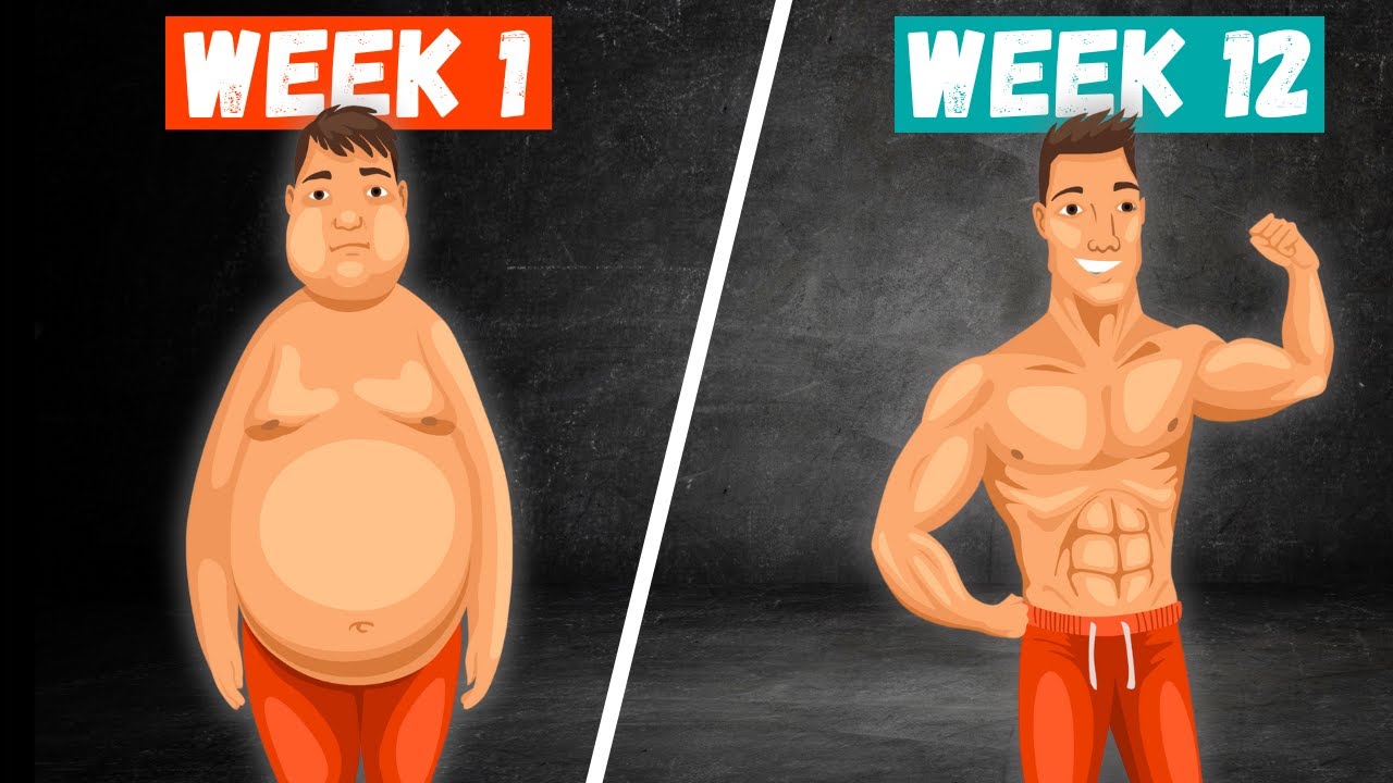 How to BUILD MUSCLE and LOSE FAT at the same time - YouTube