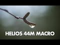 Helios-44 Macro Photography