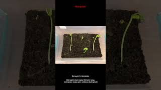 OBİT- OKYANUS KOLEJİ-HydroSoil System