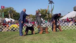 Montgomery County KC, Airedale Terriers Winners Bitch class by Sheila Tay Radcliffe 374 views 1 year ago 6 minutes, 20 seconds