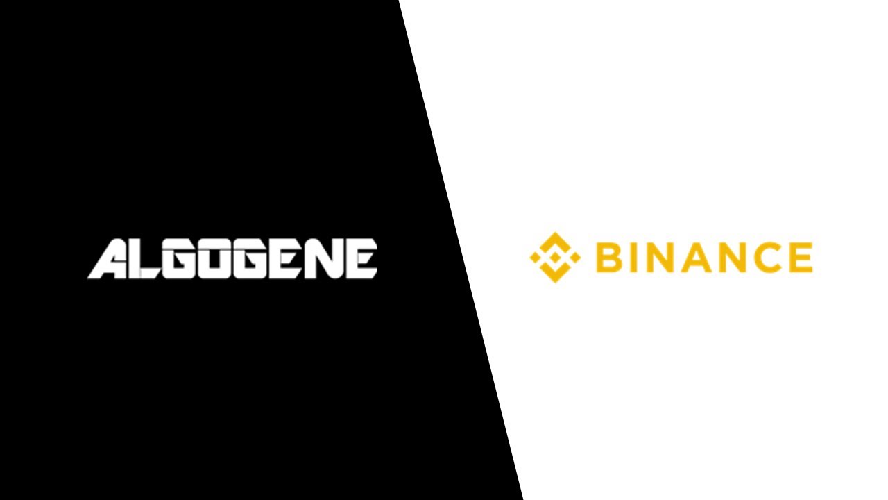 ALGOGENE | Connect Trading Account with Binance