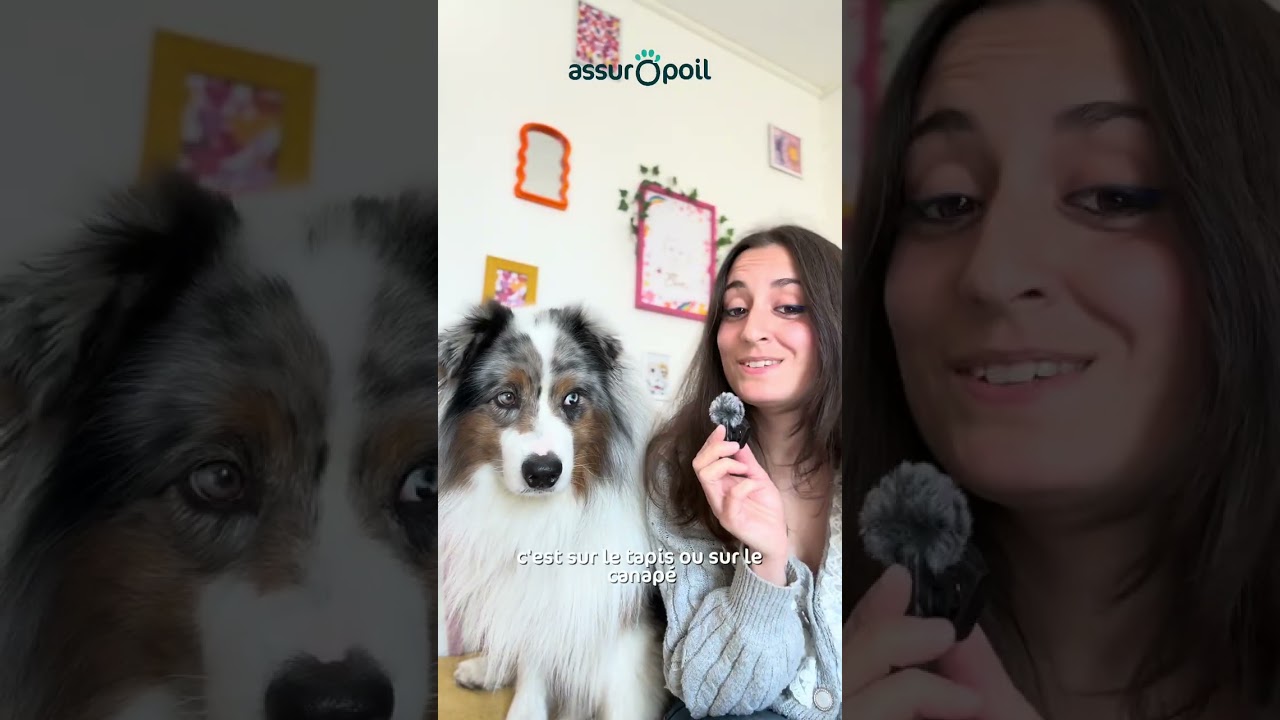 Je suis maman chien ET chat... bien évidemment que ! 🐶🐱❤️
