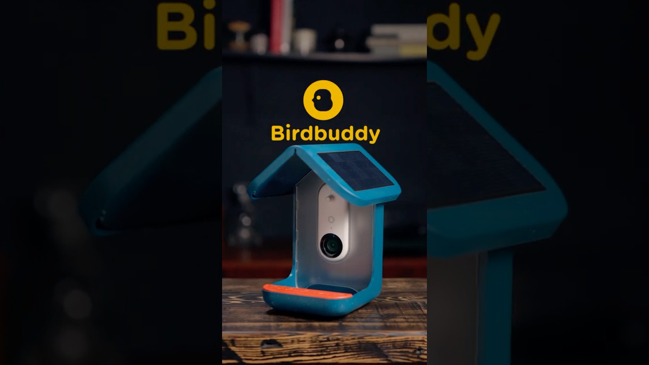 The Coolest Father’s Day Gift for Bird Watchers