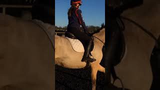 Flipagram - January 11, 2018