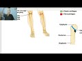 Introduction to anatomy for paramedical students (Cartilage) ,  by Dr, Wahdan