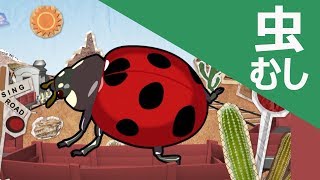 英単語フラッシュ 虫 Bugs ピポンザabc Youtube