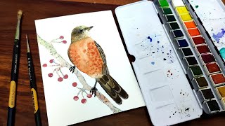 AMERICAN ROBIN Bird Watercolour Painting || Speed Painting