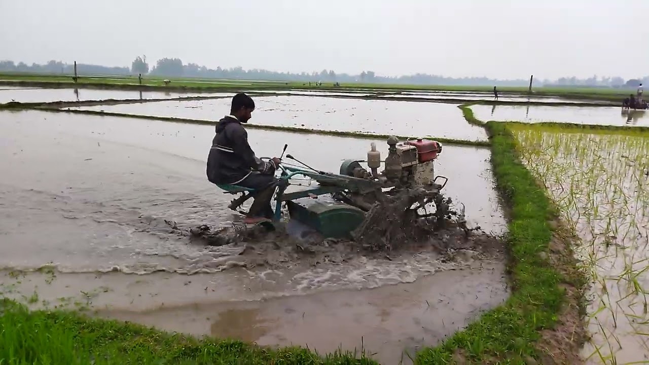 Plowing Rice Field With Power Tiller Tractor Farm Cultivator YouTube