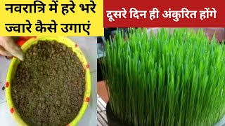 नवरतर पर हर भर जवर कस उगए जवर कस उगए Jaware Kaise Ugaye Navratri Ghat Puja