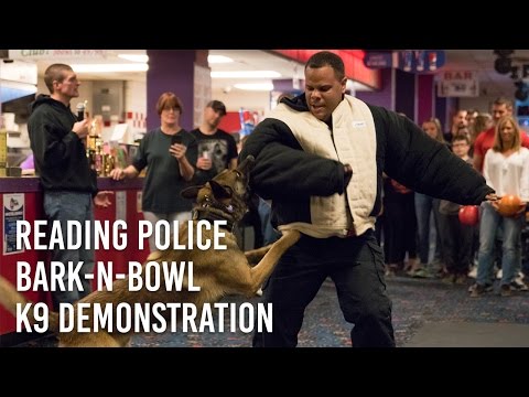Bark-N-Bowl Reading Police K9 Demonstration