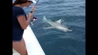 Slavka zase chytila zraloka-big shark caught 20 miles from Sarasota