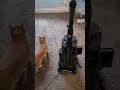 #vacuum