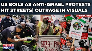 In Visuals: Anti-Israel Outrage| Protests Set US Streets On Boil| Palestinian Flag Raised At Harvard