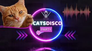 Kitty Cats Disco Party by Cats are Jerks 8 views 1 year ago 11 minutes, 19 seconds