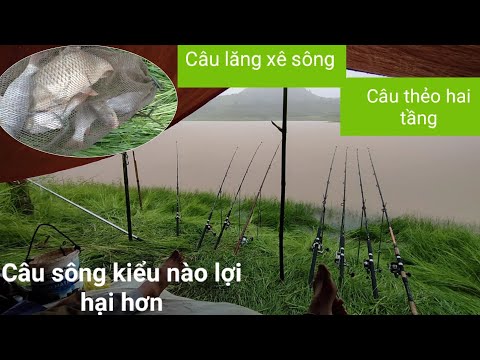 Video Câu cá chép | Câu lăng xê sông và câu giun cách nào... - youtube