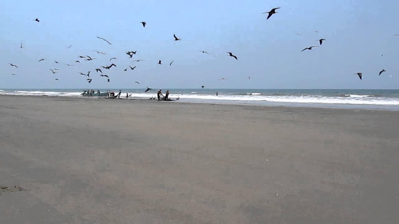 Fishing on the beach, San Clemente, Manabi, Ecuador YouTube