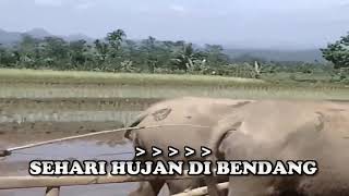 Download Lagu BUDI DAN CINTA R ISMAIL LIRIK MP3