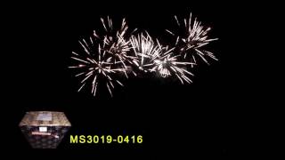 MS3019 0416