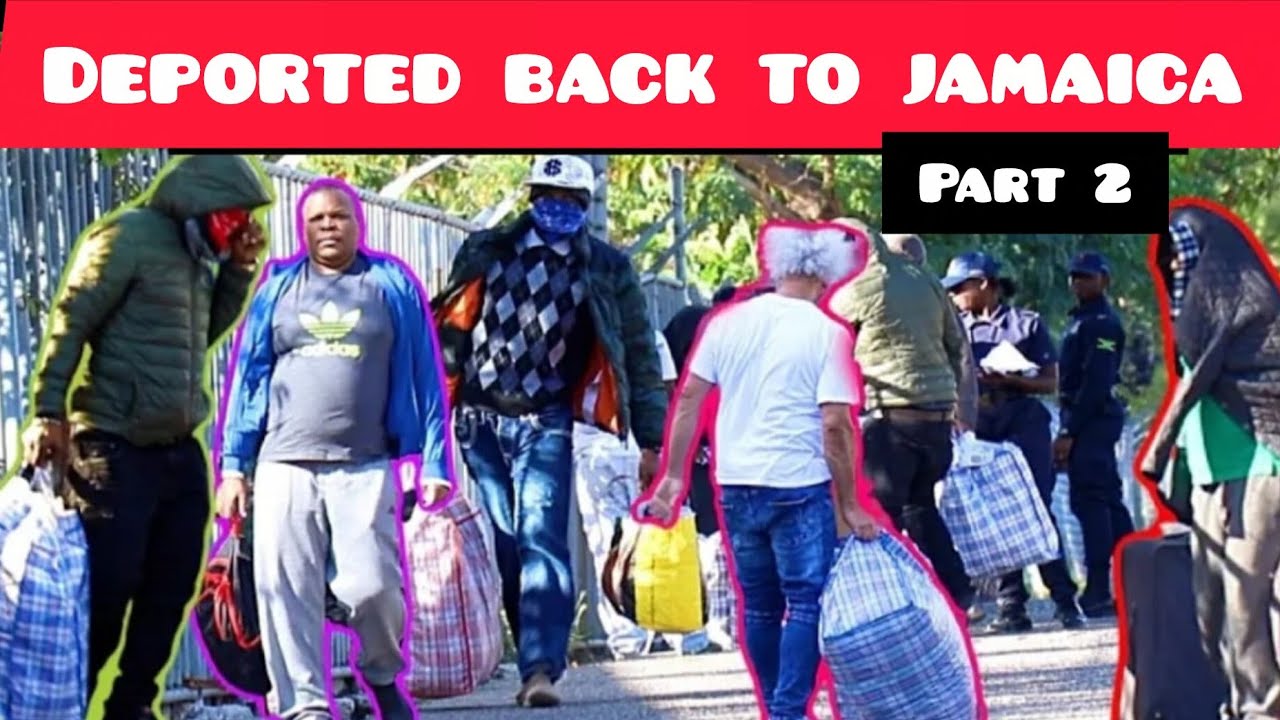 Deported back to Jamaica part 2