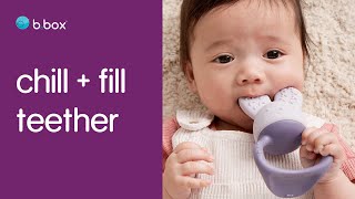 Chill Fill Teether - Cool Soothe Sore Gums